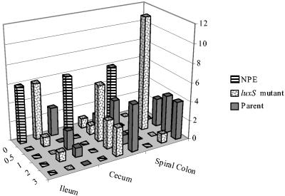 FIG. 1.