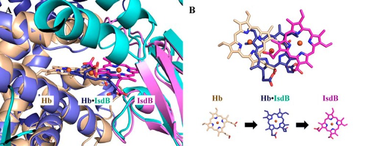 Figure 9.