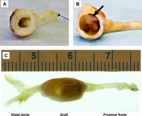 FIG. 7.