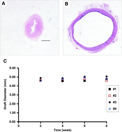 FIG. 8.