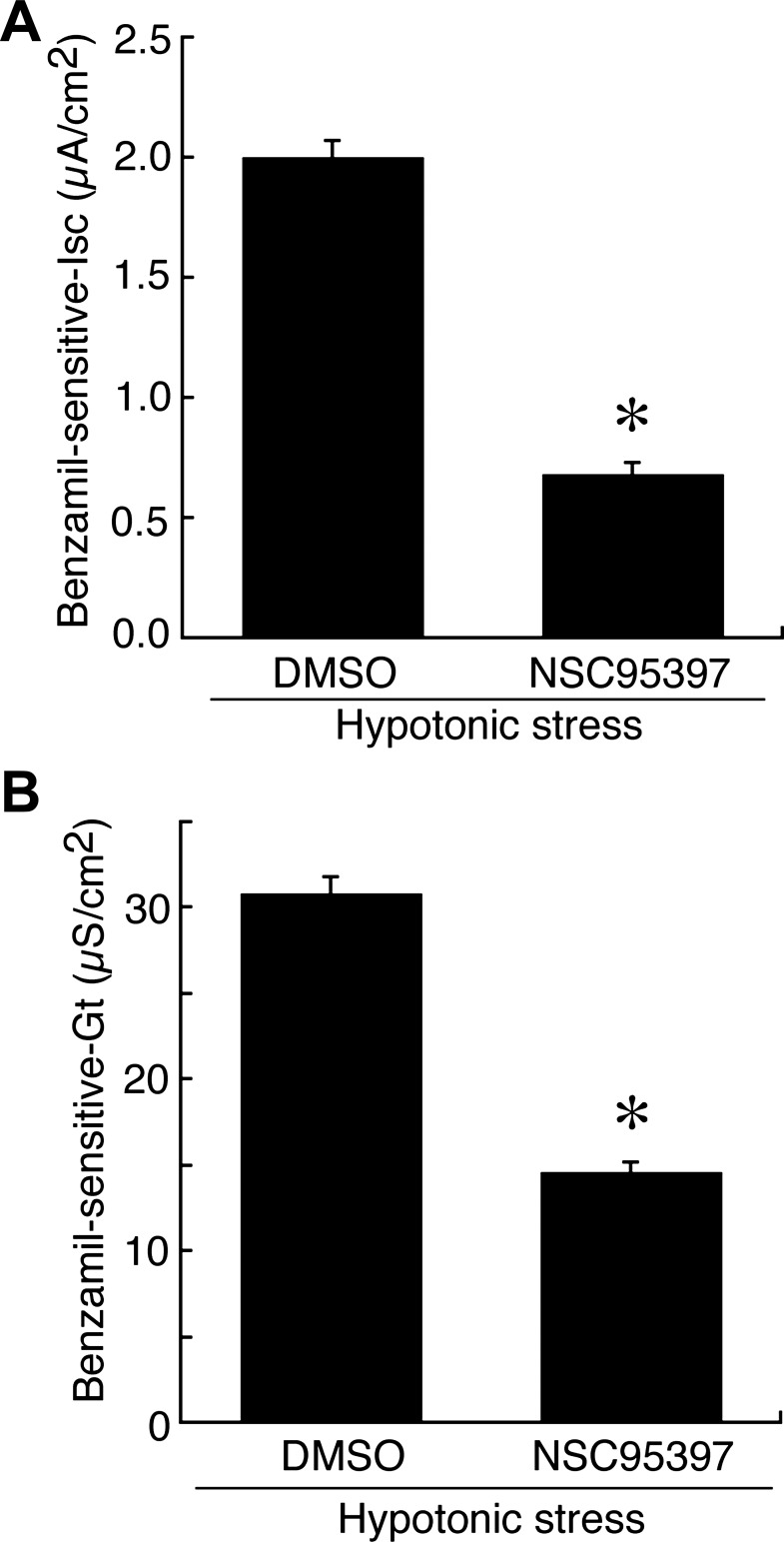 Fig. 8.