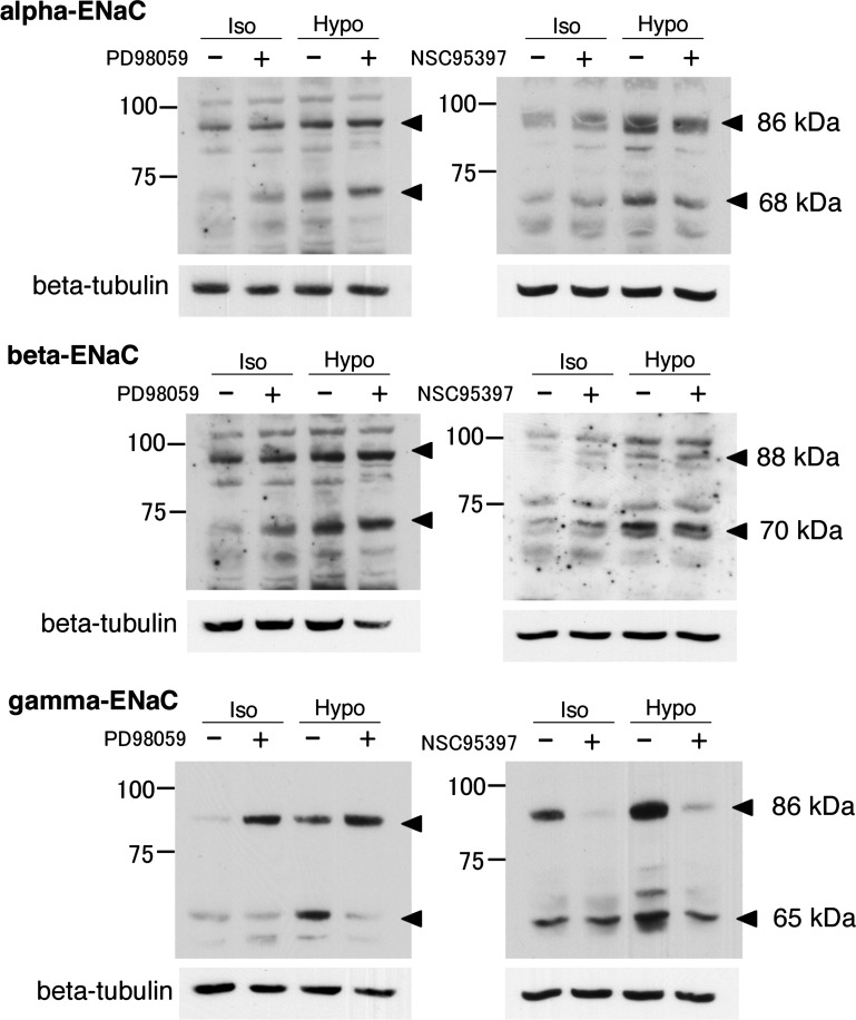 Fig. 10.