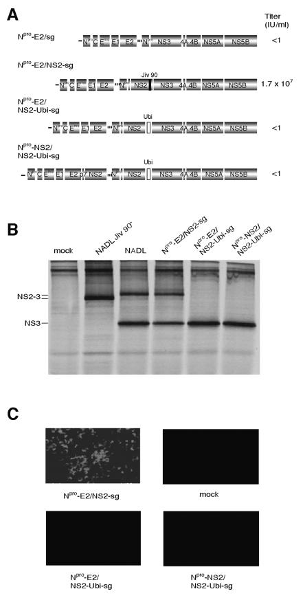 FIG.5.