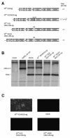 FIG.5.