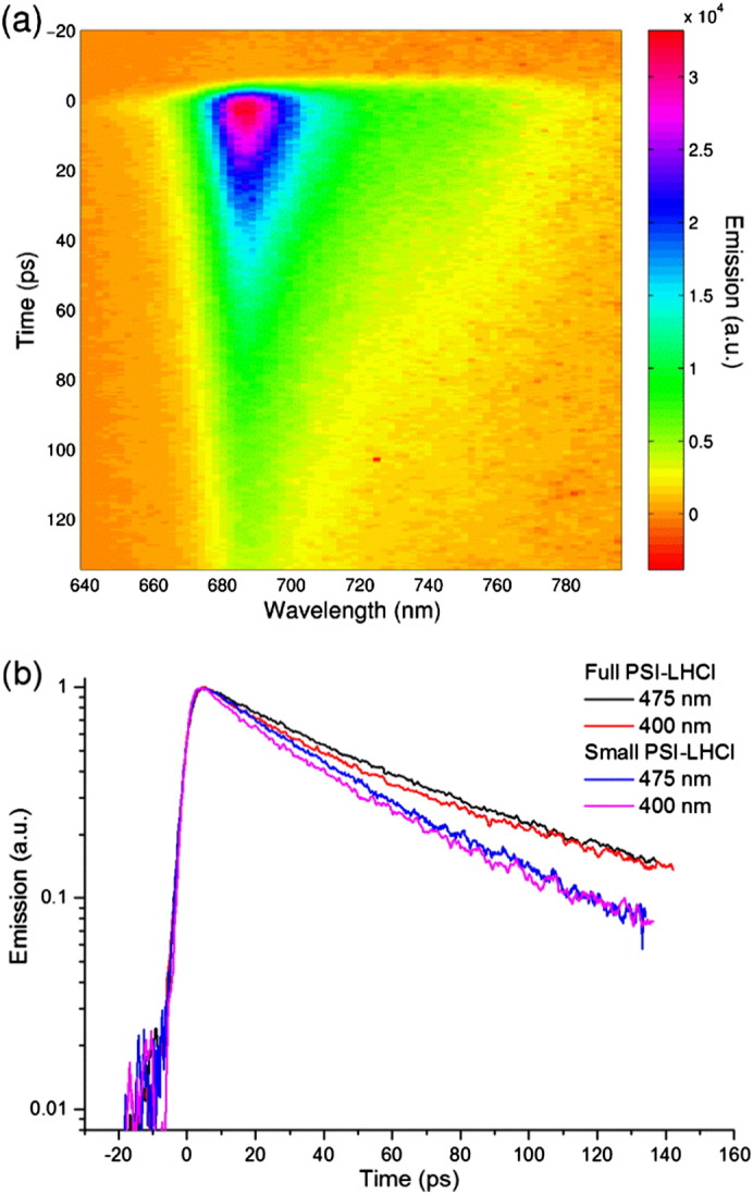 Fig. 2