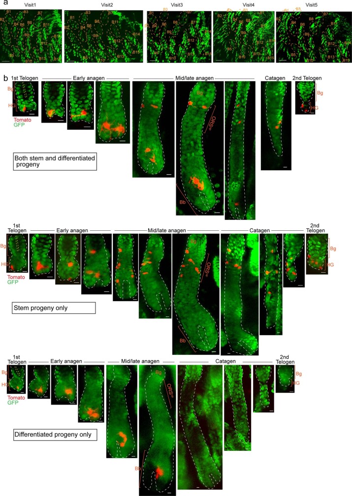 Extended Data Fig. 2