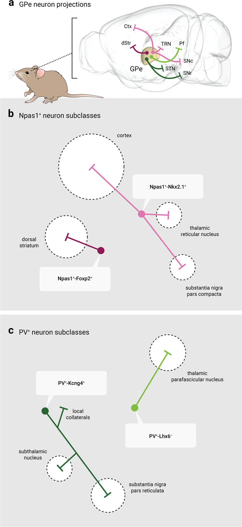 Figure 4.