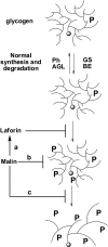 FIGURE 7.
