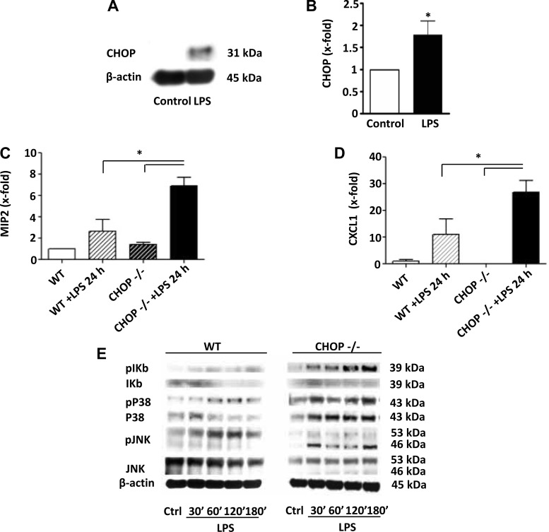 Fig. 10.