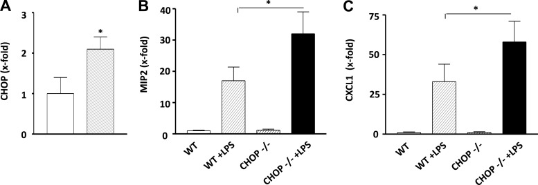 Fig. 11.