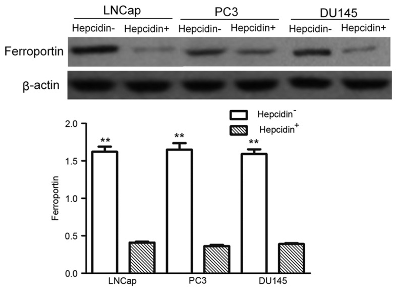 Figure 6.