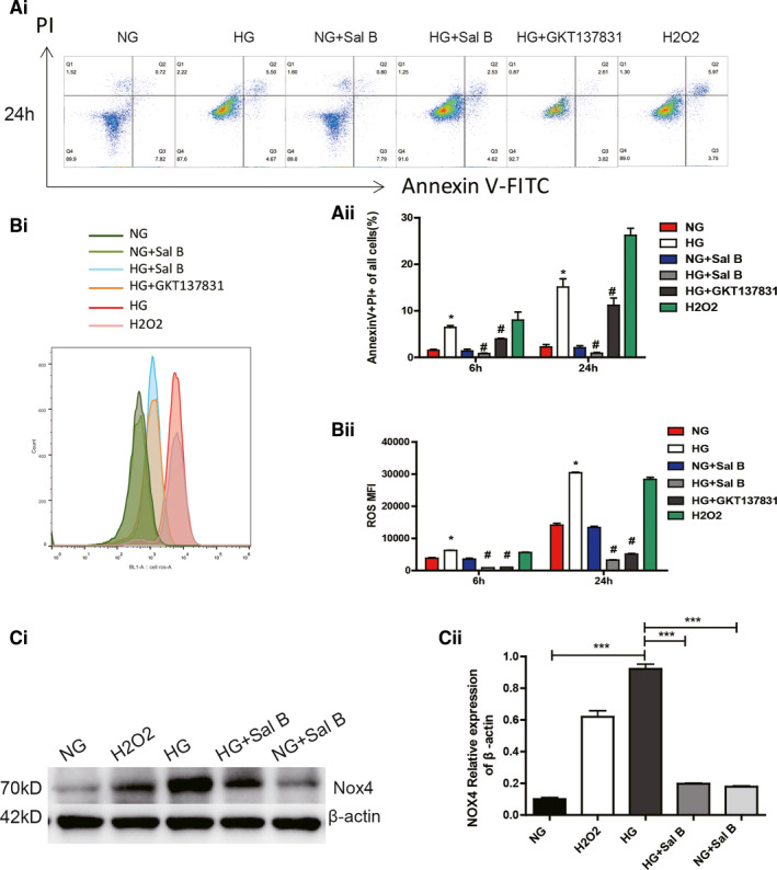 FIGURE 4