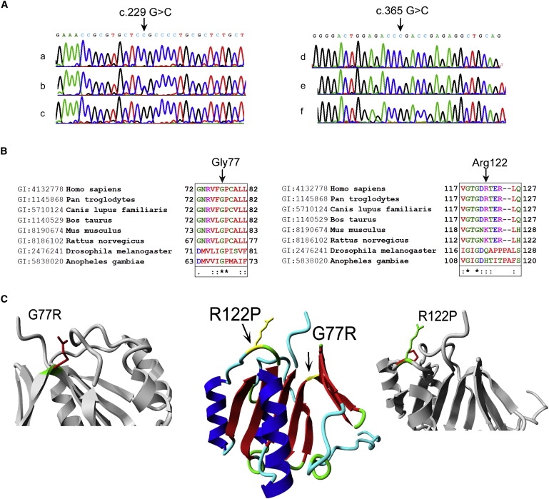 Figure 1