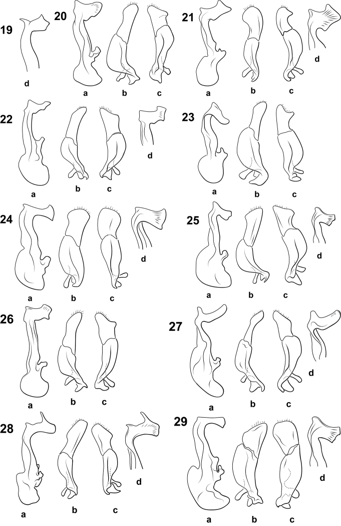 Figures 19–29.