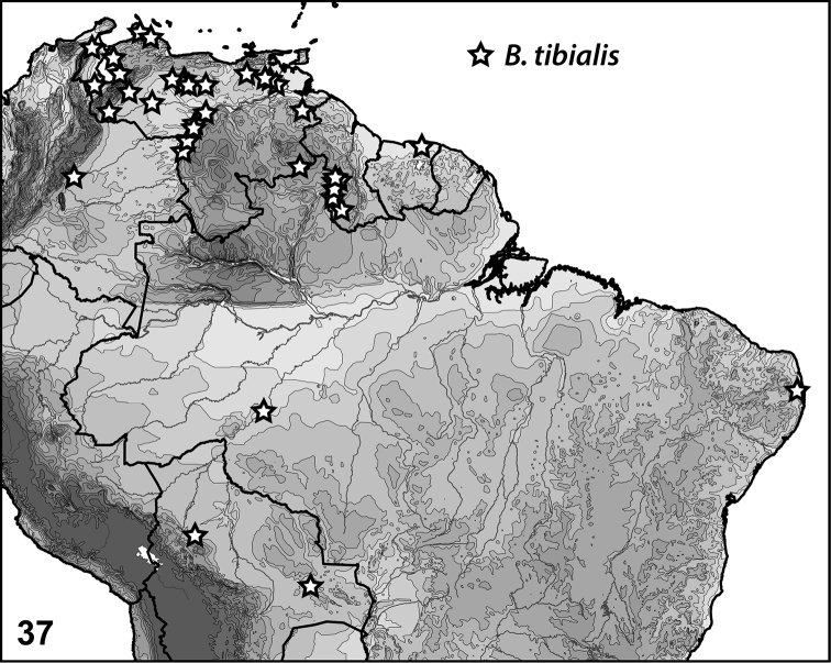 Figure 37.