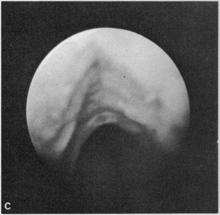 Figure 3. C