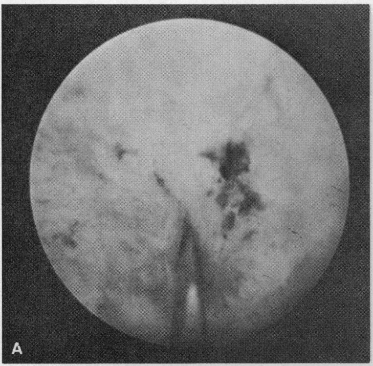 Figure 3. A