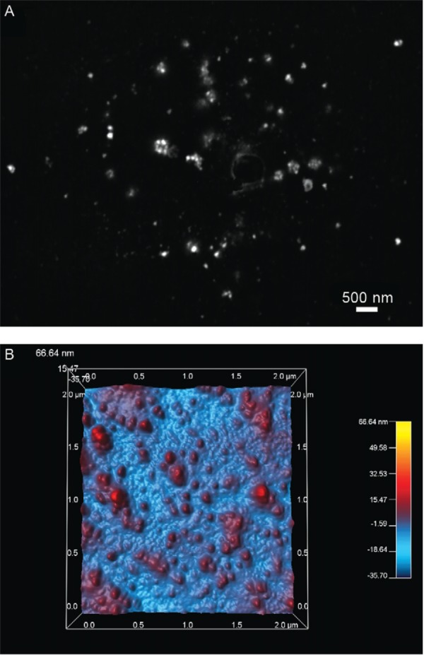 Fig. 4