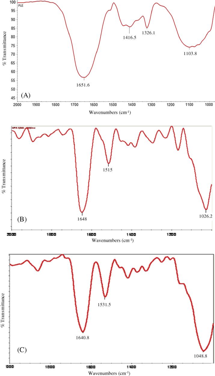 Fig. 6