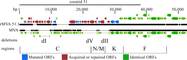 FIG 6