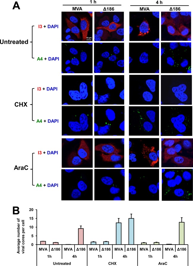 FIG 3