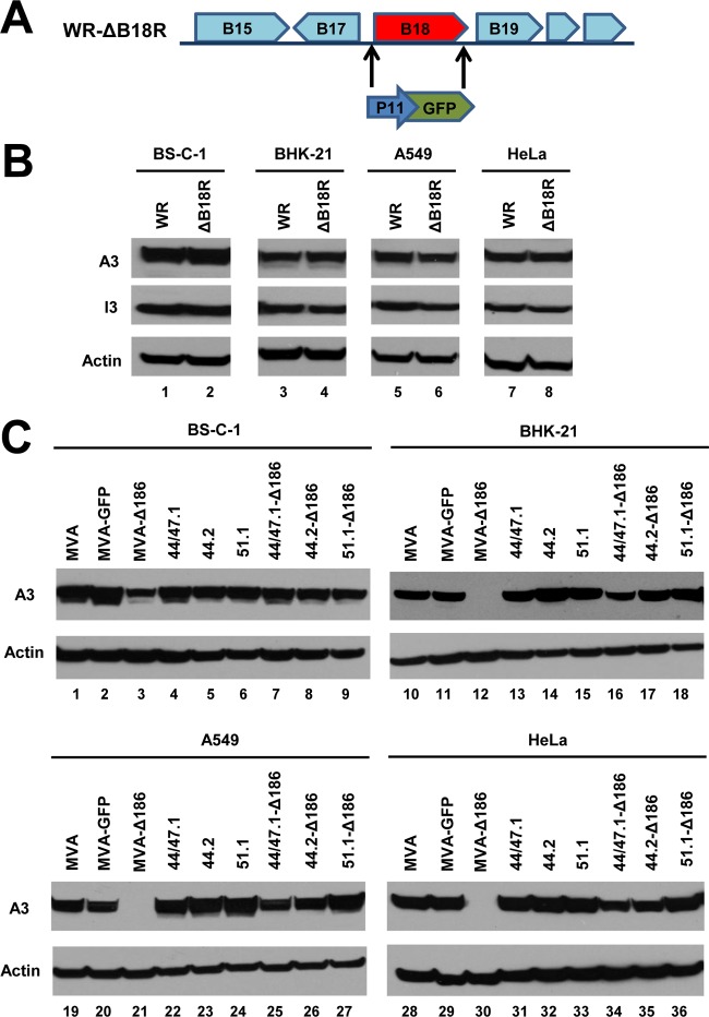 FIG 5