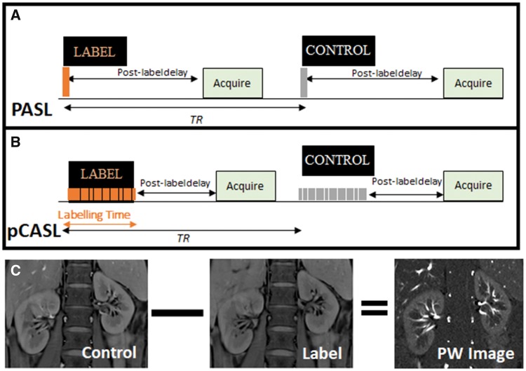 FIGURE 1: