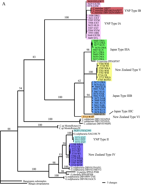 FIG. 2.