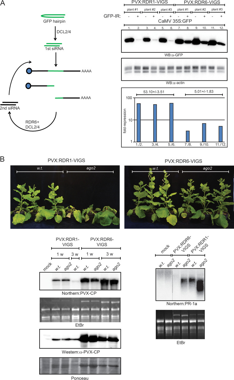 FIG 10