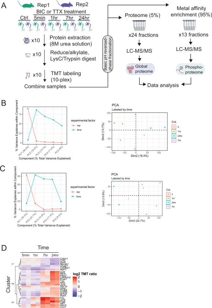 Figure 1—figure supplement 1.