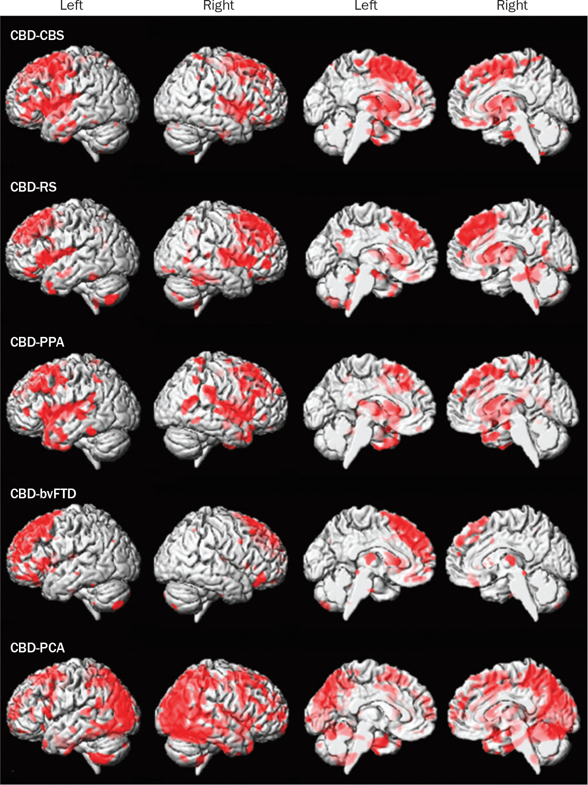 Figure 2 |