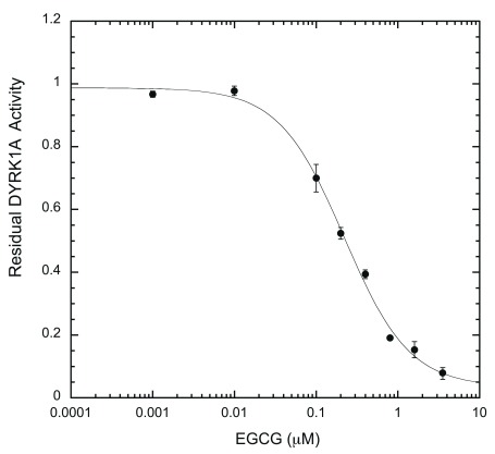 Figure 6A. 