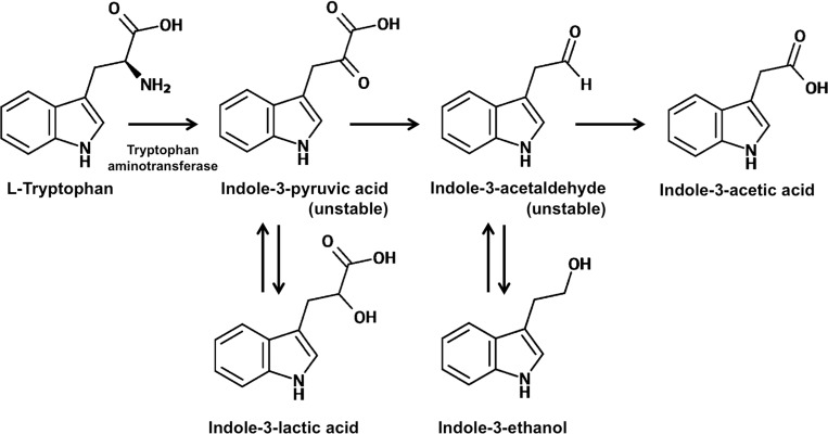 Fig 5