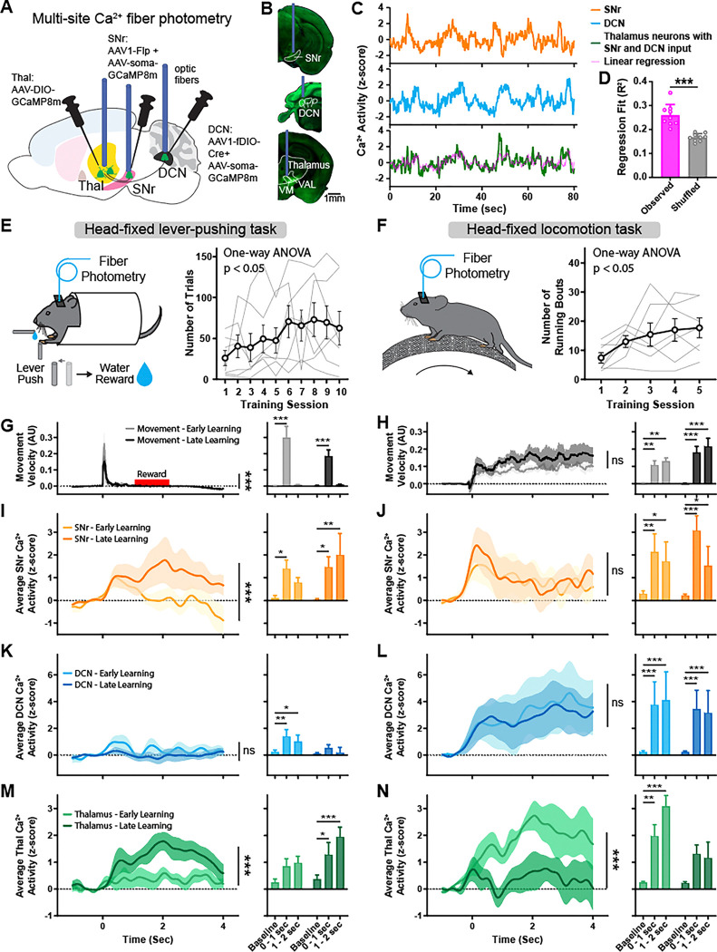 Figure 3: