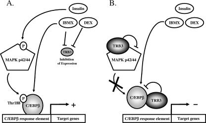 FIG. 7.