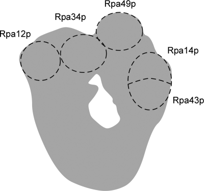 FIG. 1.