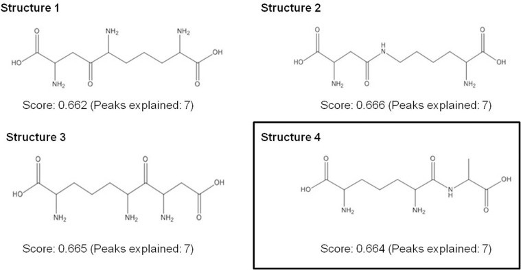 Fig 6