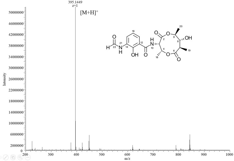 FIGURE 3