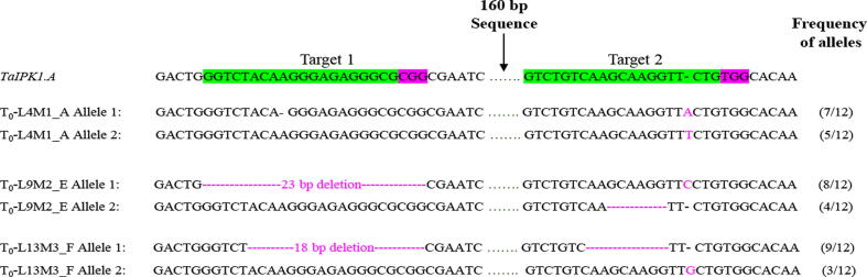 Fig. 4