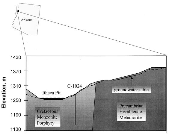 FIG. 1