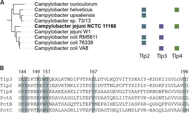 FIG 2