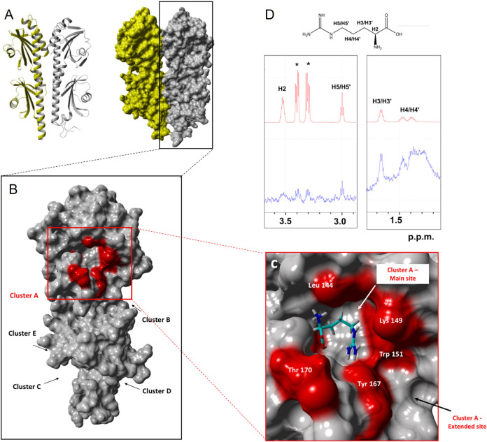 FIG 3