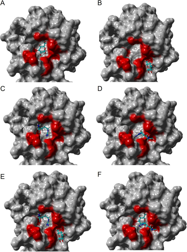 FIG 5