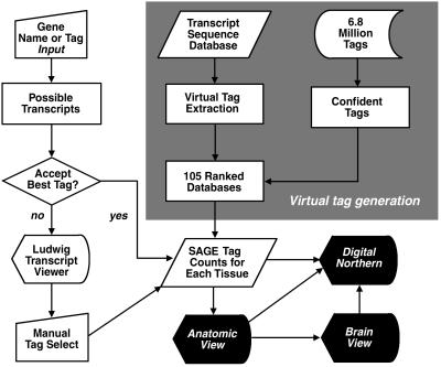 Fig 1.