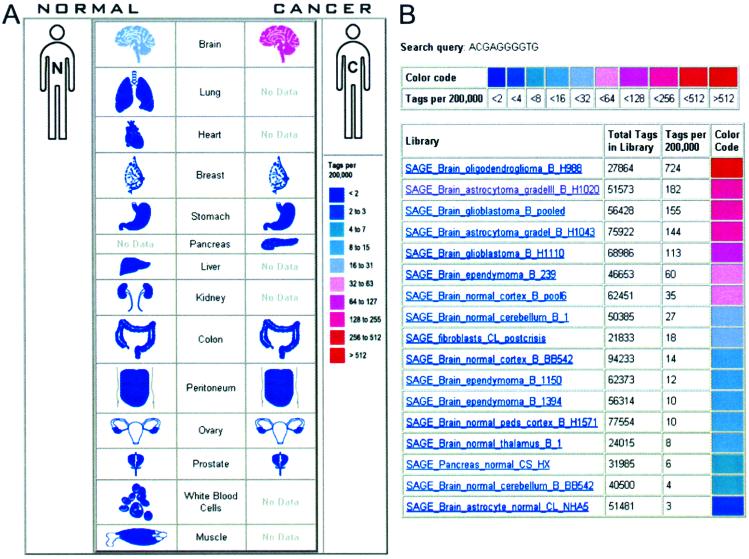 Fig 3.