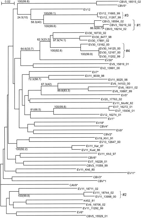 FIG. 5.