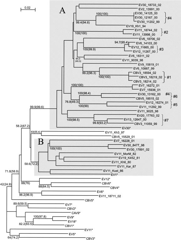 FIG. 3.