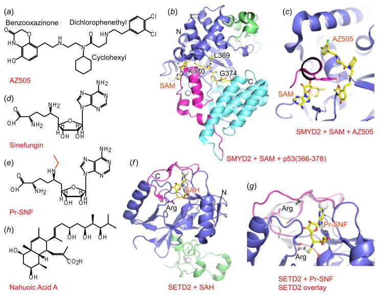 Fig. 3