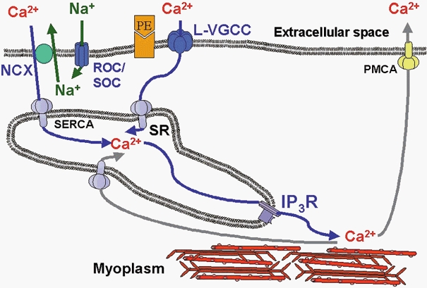 Figure 6