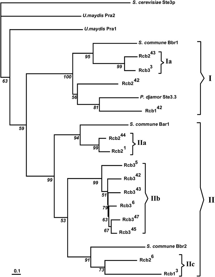 Figure 3.—